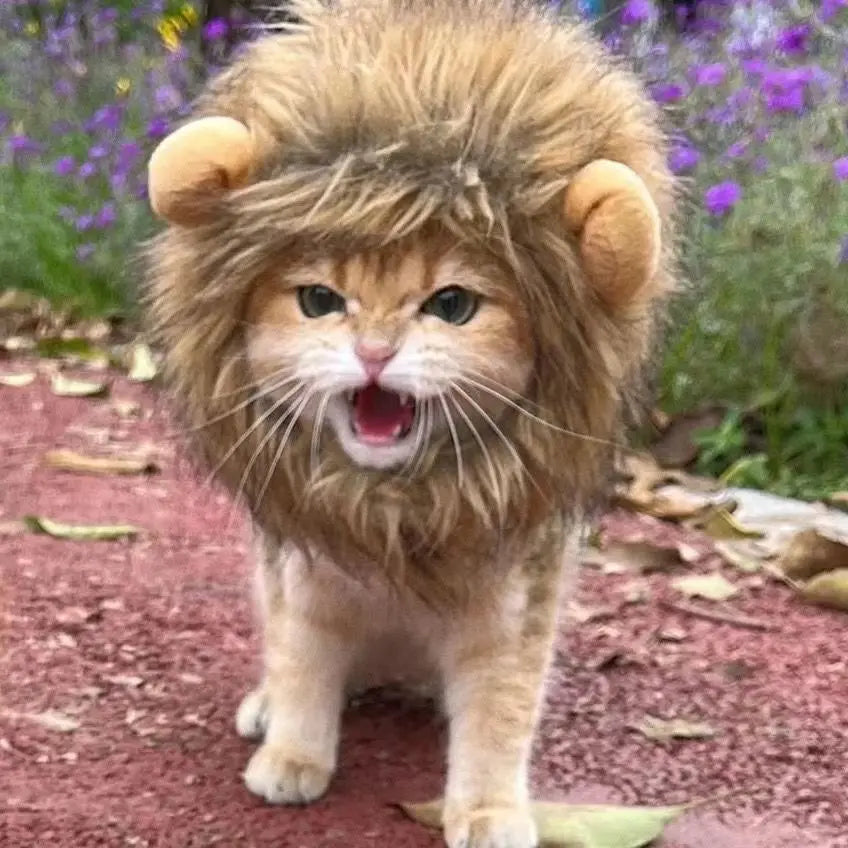 MedzPets™ Lion Cat Wig