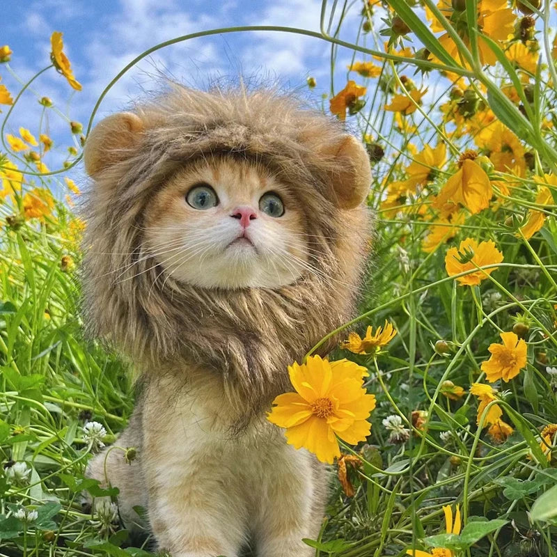 MedzPets™ Lion Cat Wig