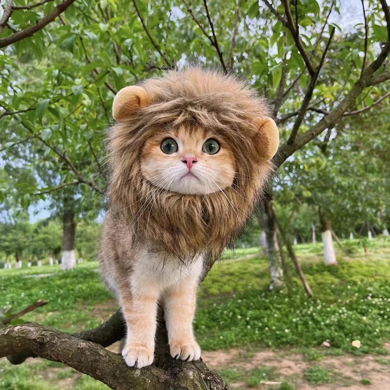 MedzPets™ Lion Cat Wig